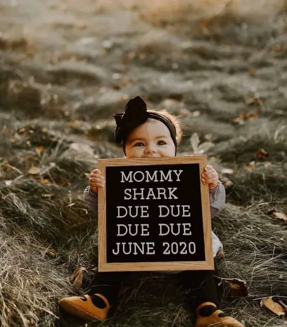 mommy shark pregnancy announcement