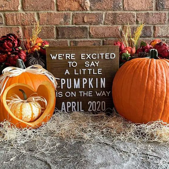 pumpkin pregnancy announcement 2