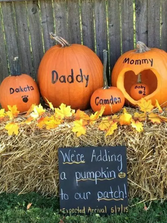 pumpkin pregnancy announcement