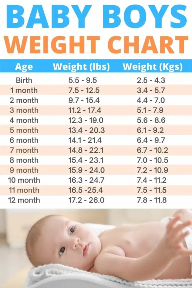 Baby Month Chart