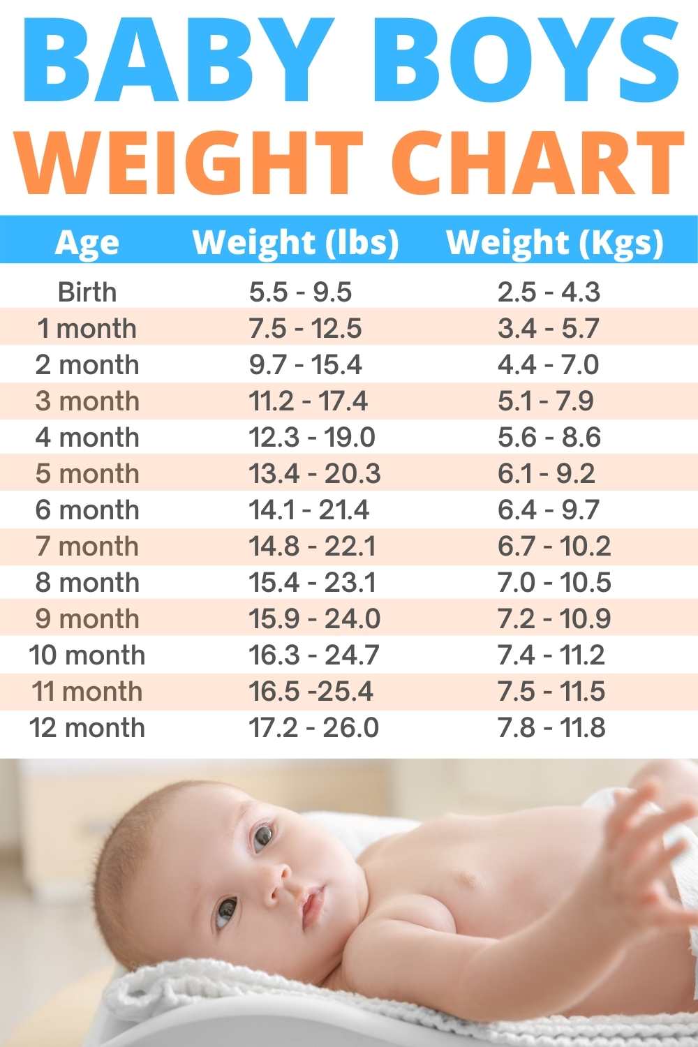 How Much Do Weigh Chart