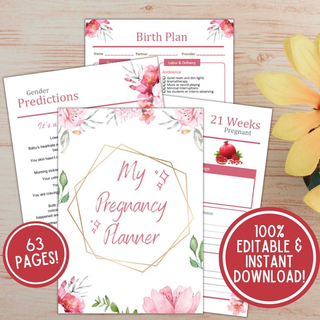 Editable and Printable pregnancy planner word pfd