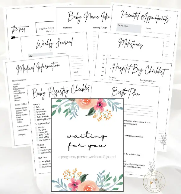 free printable pregnancy planner and journal