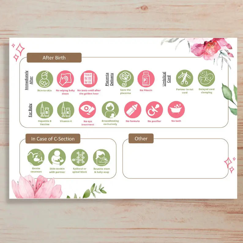 visual birth plan template design 1 page 2