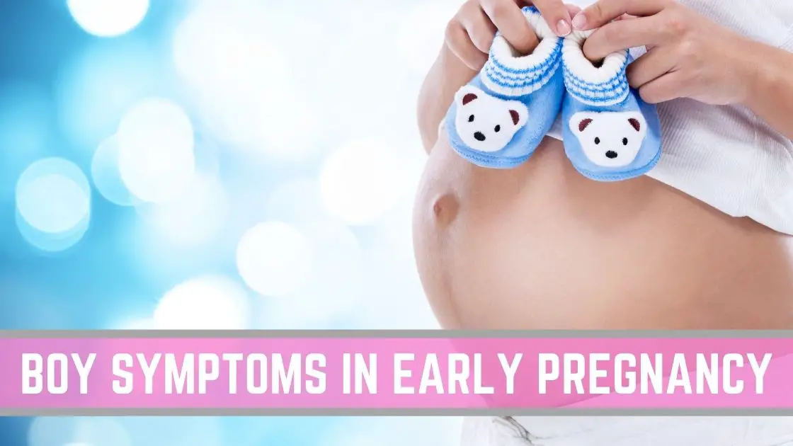baby boy symptoms during early pregnancy