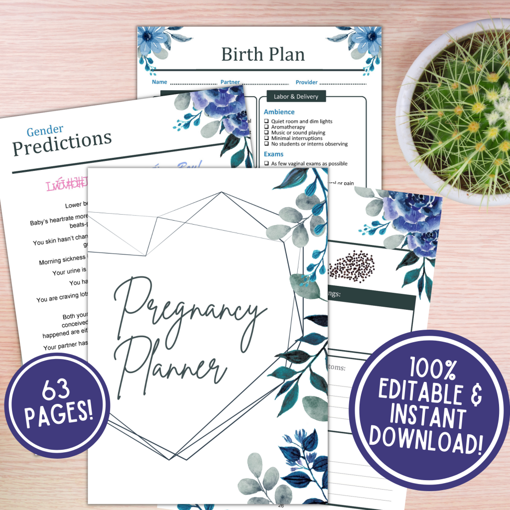 printable pregnancy planner