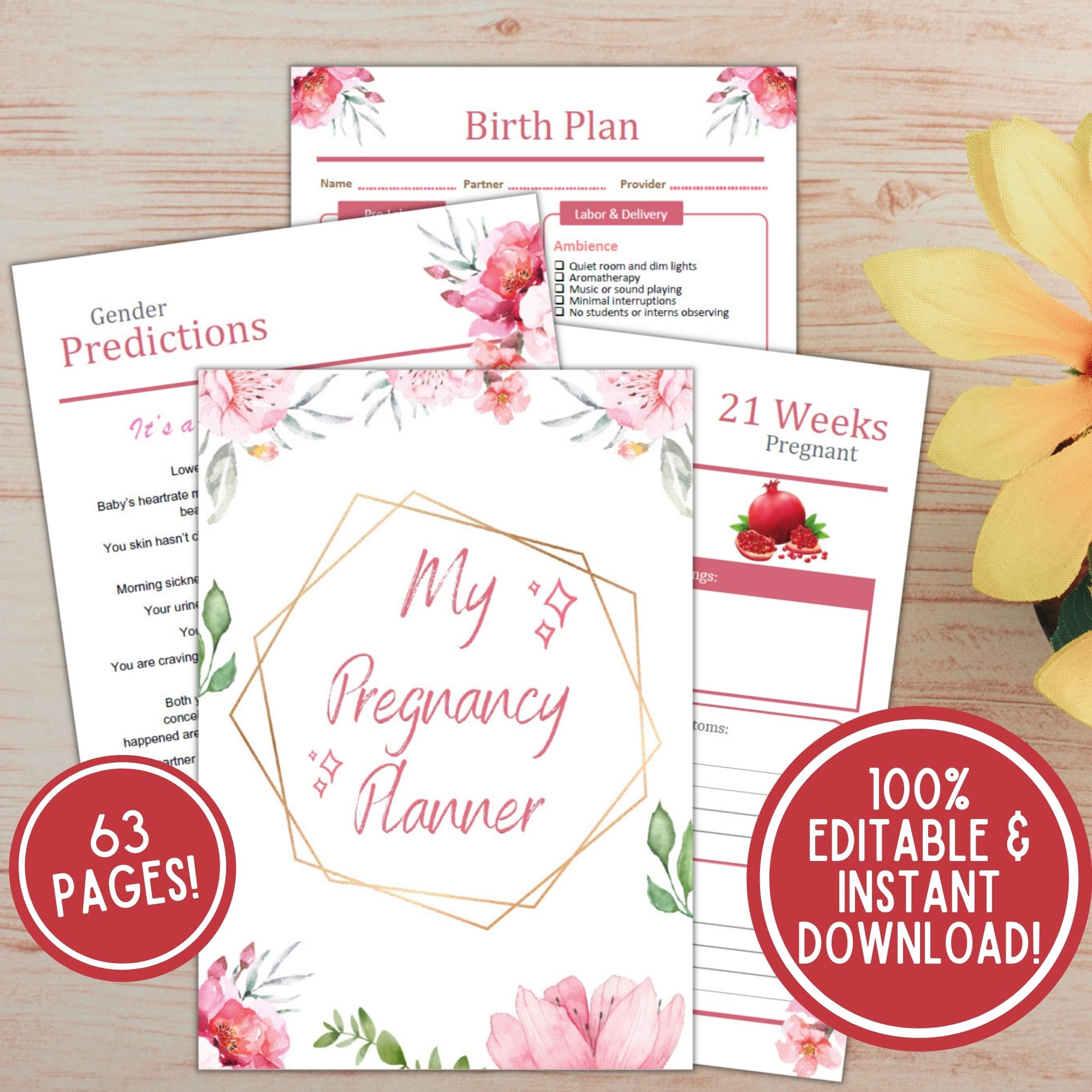 printable-pregnancy-planners-pregnancy-journals-conquering-motherhood