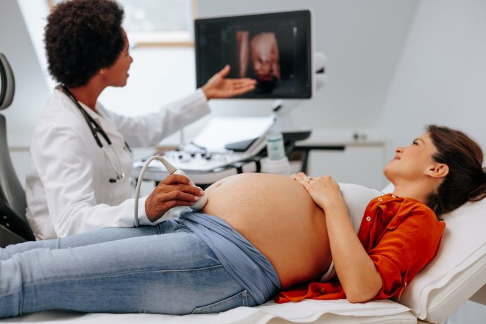 20 week ultrasound anatomy scan